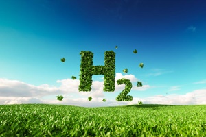 Green Hydrogen WF
