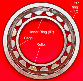 RBB-Figure-1