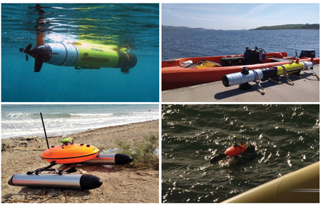 MarynSol 01 AUV USV moasic