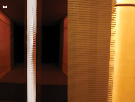 Figure 1. (a) Downstream view and (b) side view of finlets on the airfoil Nathan Alexander Figure 1