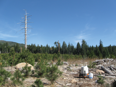 Figure 1. A ground-based wind lidar deployed in complex terrain ZX complex figure 1