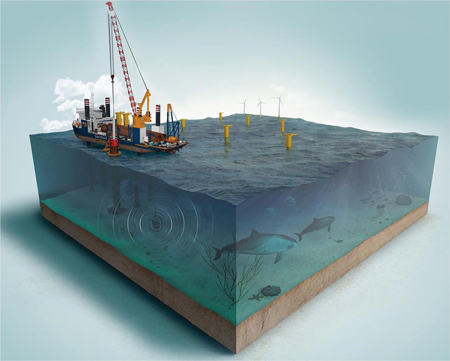 Targeted Offshore Acoustic Deterrents