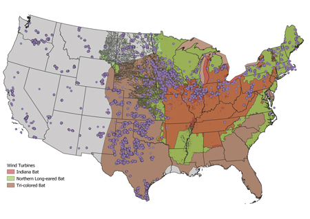 Bat Figure 1 US Map