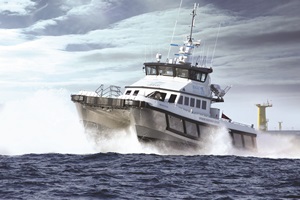 Seacat Vigilant