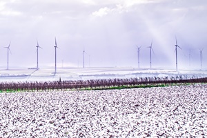 A Wind Farm in Winter courtesy Karsten Wurth