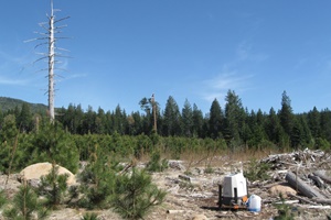 Lidar measurement in complex terrain