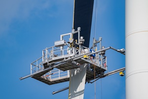 Research into the effects of black rotor blades on bird protection is in full swing