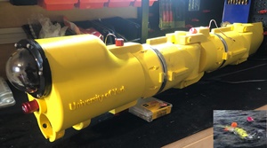 Robotic fish designed to enable efficient offshore inspection regimes