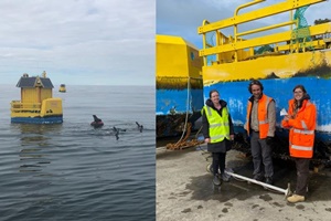 Seals enjoyed resting on the floating LiDAR; Erin, Pete and Brooke studied marine growth on the buoys Wind monitoring for Star of South offshore wind farm in Australia completed