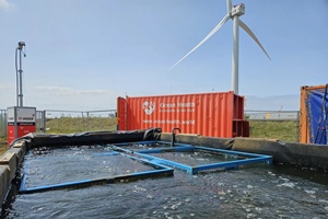 Van Oord pilots oyster reef restoration