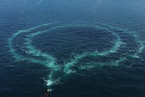 A special vessel lays out a double hose ring on the seabed that generates a curtain of air bubbles to dampen the sound of the detonations