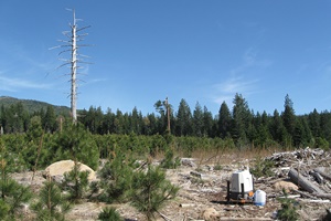 Study shows that ZX 300 can be deployed standalone in complex terrain Study shows that ZX 300 can be deployed standalone in complex terrain