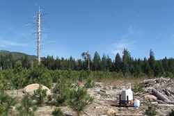 ZX Lidars: Unlocking Wind Measurements in Complex Terrain